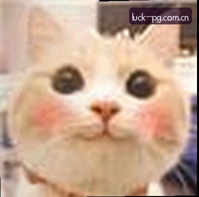 小胖